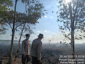 Lahan Gambut di Muaro Jambi Terbakar, Tim Gabungan Upayakan Pemadaman