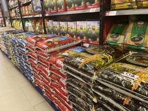 Beras Medium-Premium Akan Dihapus, Pengamat Sebut Konsumen Rentan Dirugikan