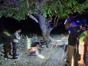 Petani di Rote Tewas Setelah Tabrak Pohon Kedondong