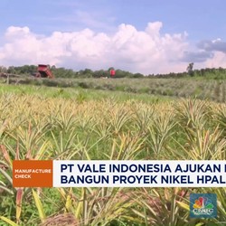 Video: PT Vale Indonesia Ajukan Pinjaman Bangun Proyek Nikel HPAL