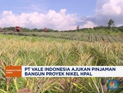 Video: PT Vale Indonesia Ajukan Pinjaman Bangun Proyek Nikel HPAL