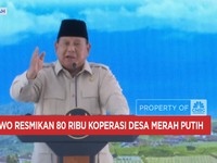Video: Rugi Rp 100 Triliun, Prabowo Mau Tangkap Penggiling Padi Nakal