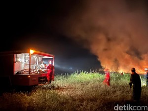 Tim Tanggap Darurat Kebakaran PHR Diturunkan Padamkan Karhutla di Rohil