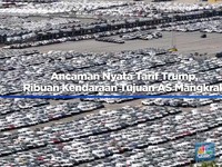 Ancaman Nyata Tarif Trump, Ribuan Kendaraan Tujuan AS Mangkrak