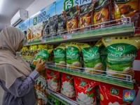 OJK Siapkan Aturan Buat Pembiayaan Bank ke Kopdes Merah Putih