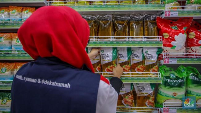 Link Hasil Seleksi Administrasi PMO Kemenkop, Buka Senin Tengah Malam