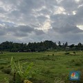 Misi Prabowo Jadi Perhatian, ADB Dukung Penuh Transformasi Sektor Ini