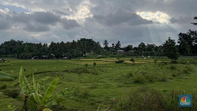 Misi Prabowo Jadi Perhatian, ADB Dukung Penuh Transformasi Sektor Ini