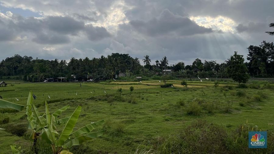 Lokasi Integrated Participatory Development and Management of Irrigation Program (IPDMIP) di Desa Selubung, Lombok Tengah.