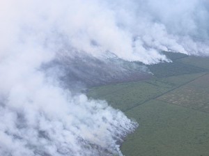 Gubernur Naikkan Status Tanggap Darurat Imbas Karhutla di Riau Meluas