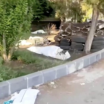Pilu, Kantong-Kantong Jenazah Berserakan Buntut Kekerasan Sadis