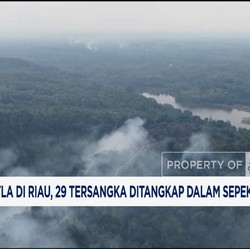 Video: 1.000 Hektar Lahan Terbakar di Riau! Menteri LH Turun Tangan