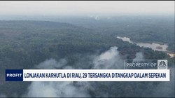 Video: 1.000 Hektar Lahan Terbakar di Riau! Menteri LH Turun Tangan