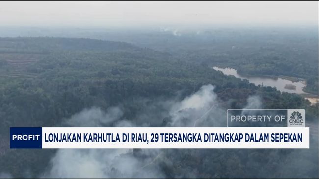 Video: 1.000 Hektar Lahan Terbakar di Riau! Menteri LH Turun Tangan