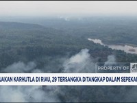 Video: 1.000 Hektar Lahan Terbakar di Riau! Menteri LH Turun Tangan