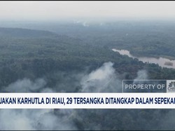 Video: 1.000 Hektar Lahan Terbakar di Riau! Menteri LH Turun Tangan