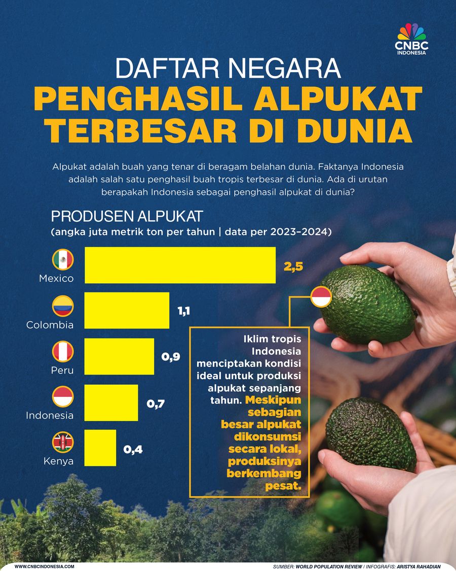 Daftar Negara  Penghasil Alpukat Terbesar di Dunia