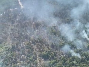 1.041 Hektare Lahan di Riau Terbakar Sejak Januari, Pelalawan Terluas