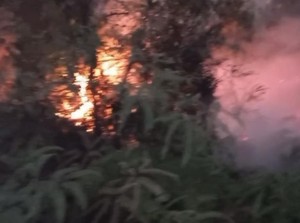 Video: Kabupaten Lima Puluh Kota Berstatus Tanggap Darurat Imbas Karhutla