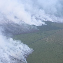135 Titik Panas Muncul di Riau, BMKG-BNPB Keroyokan Modifikasi Cuaca