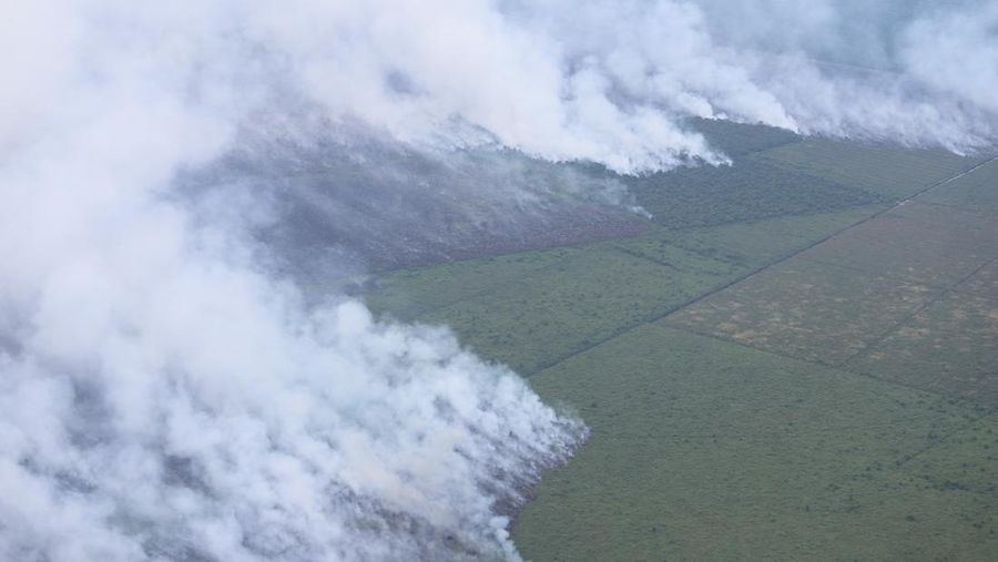 Kondisi kebakaran hutan dan lahan yang terjadi di wilayah Kabupaten Rokan Hilir, Provinsi Riau pada Senin (21/7/2025). (Dok. BNPB)