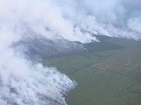 135 Titik Panas Muncul di Riau, BMKG-BNPB Keroyokan Modifikasi Cuaca