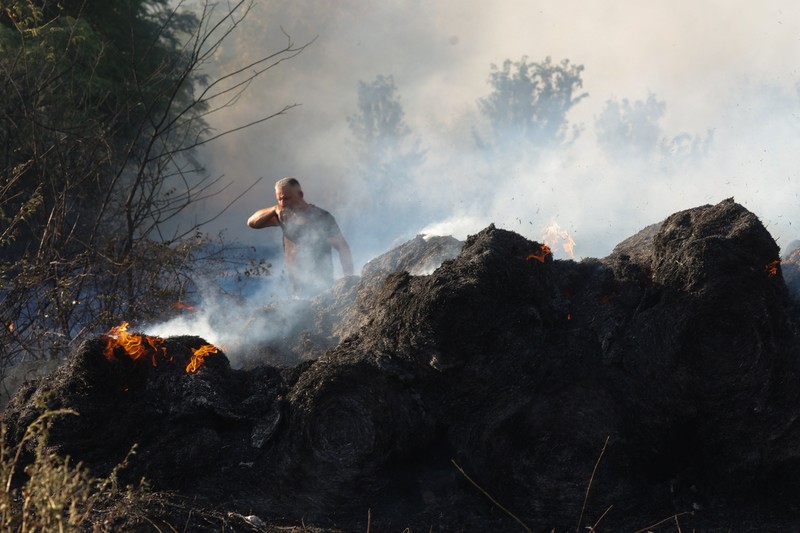 Seseorang berdiri di tengah asap saat kebakaran hutan melanda sebuah desa di Dubrava, Kosovo, 22 Juli 2025. Seseorang berdiri di tengah asap saat kebakaran hutan melanda sebuah desa di Dubrava, Kosovo, 22 Juli 2025. (REUTERS/Valdrin Xhemaj)