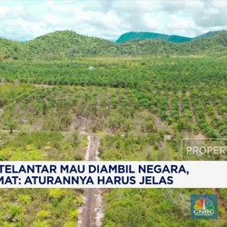 Video: Tanah Telantar Mau Diambil Negara, Pengamat Ingatkan Aturan