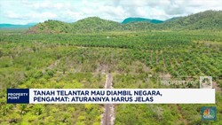 Video: Tanah Telantar Mau Diambil Negara, Pengamat Ingatkan Aturan