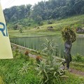 BRI Salurkan KUR Rp83,38 T, Pertanian Jadi Motor Utama