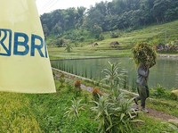 Ini Jurus BRI Jaga Kualitas Kredit di Tengah Daya Beli Melemah