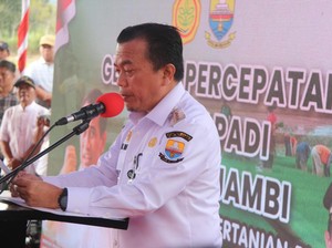 Al Haris Beberkan Potensi Besar Sektor Pertanian di Jambi