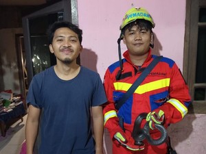 Ular 1 Meter Muncul di Rumah saat Tengah Malam, Warga Bogor Panggil Damkar