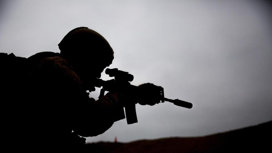 Ilustrasi Tentara Nigeria. (Pixabay)