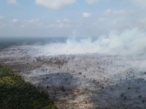 Video: Polri Tetapkan 51 Tersangka Kasus Kebakaran Hutan di Riau