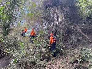 Cari Kayu Bakar, Nenek Hilang Hampir Sepekan di Hutan Sikka