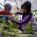 Lewat Segudang Program, Pertamina Komitmen Cetak Generasi Emas