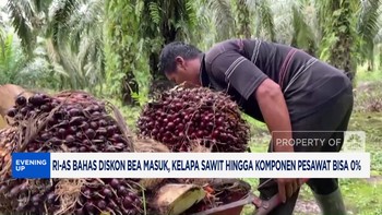 Video: RI-AS Bahas Diskon Tarif, Sawit & Komponen Bisa Nol Persen