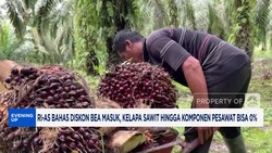 Video: RI-AS Bahas Diskon Tarif, Sawit & Komponen Bisa Nol Persen