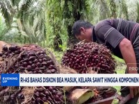 Video: RI-AS Bahas Diskon Tarif, Sawit & Komponen Bisa Nol Persen