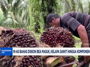  RI-AS Bahas Diskon Tarif, Sawit & Komponen Bisa Nol Persen
