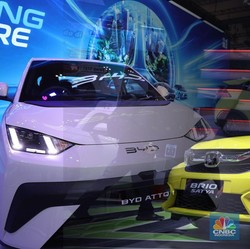 Duel BYD Atto 1 Rp 195 Juta Lawan Honda Brio, Pilih Mana?