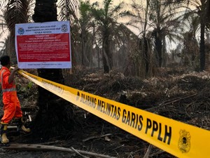 APHI Ungkap Status Lahan yang Disegel KLH terkait Karhutla di Riau