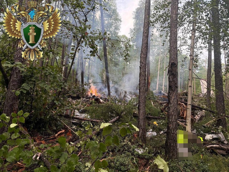 Pemandangan menunjukkan puing-puing pesawat penumpang Angara Airlines An-24 di lokasi kecelakaan dekat Tynda di Wilayah Amur, Rusia, 24 Juli 2025. (Far Eastern Transport Prosecutor's Office/Handout via REUTERS)