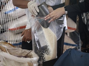 Stok Beras di Jakarta 47.449 Ton, Pemprov DKI Jamin Kebutuhan Warga Aman