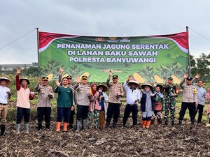 Polresta Banyuwangi Tanam Jagung Bersama Petani di Lahan 5 Hektare