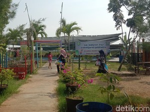 Sindang Indramayu Jadi Desa Wisata, Dulu Sering Gagal Panen