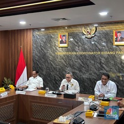 Kategori Beras Medium & Premium Bakal Dihapus, Zulhas: Beras ya Beras