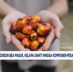 Video: RI-AS Bahas Diskon Bea Masuk Kelapa Sawit bisa 0%