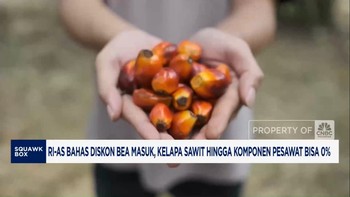 Video: RI-AS Bahas Diskon Bea Masuk Kelapa Sawit bisa 0%